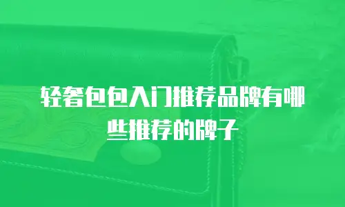 轻奢包包入门推荐品牌有哪些推荐的牌子