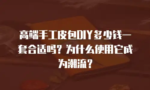 高端手工皮包DIY多少钱一套合适吗？为什么使用它成为潮流？