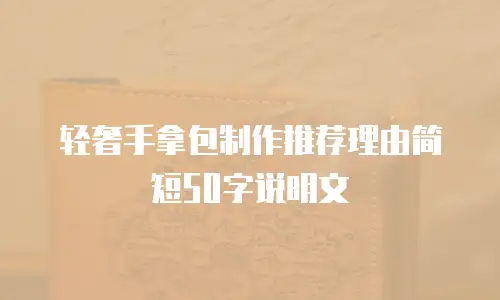 轻奢手拿包制作推荐理由简短50字说明文