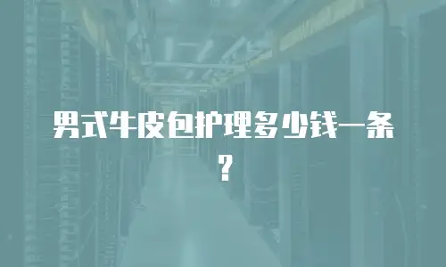 男式牛皮包护理多少钱一条？