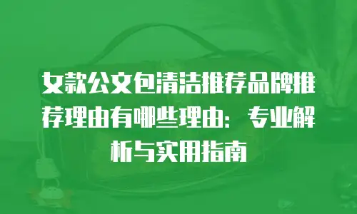 女款公文包清洁推荐品牌推荐理由有哪些理由：专业解析与实用指南