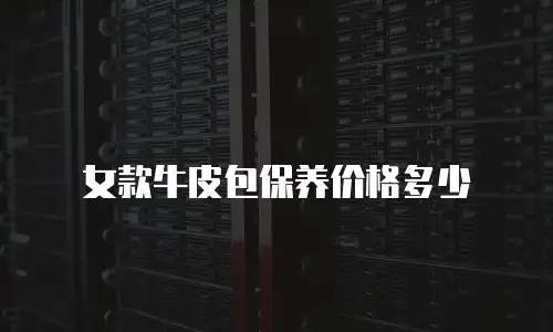 女款牛皮包保养价格多少