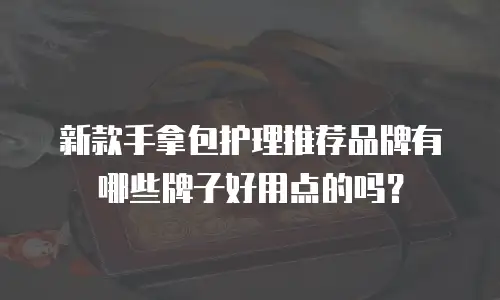 新款手拿包护理推荐品牌有哪些牌子好用点的吗？