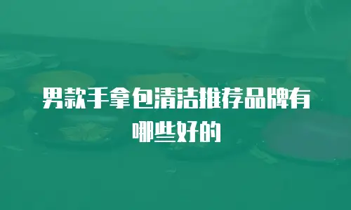 男款手拿包清洁推荐品牌有哪些好的