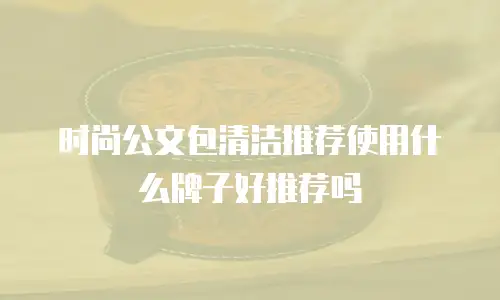 时尚公文包清洁推荐使用什么牌子好推荐吗