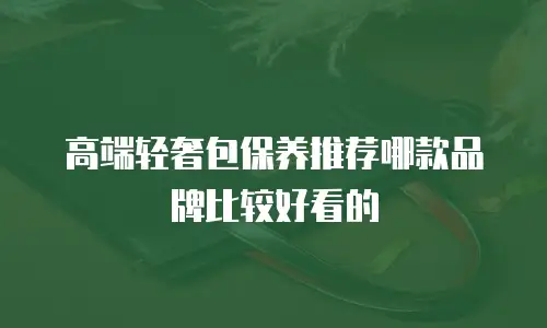 高端轻奢包保养推荐哪款品牌比较好看的