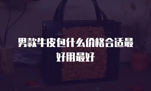 男款牛皮包什么价格合适最好用最好