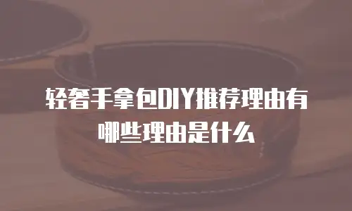 轻奢手拿包DIY推荐理由有哪些理由是什么