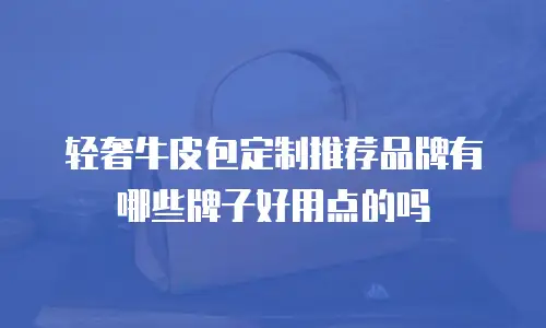 轻奢牛皮包定制推荐品牌有哪些牌子好用点的吗