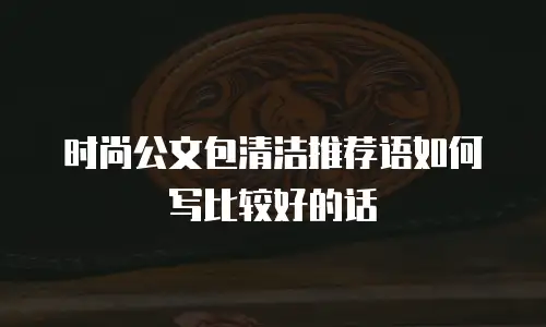 时尚公文包清洁推荐语如何写比较好的话