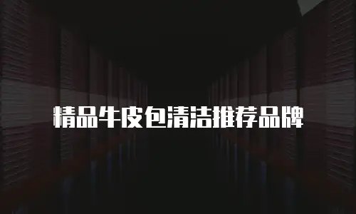 精品牛皮包清洁推荐品牌