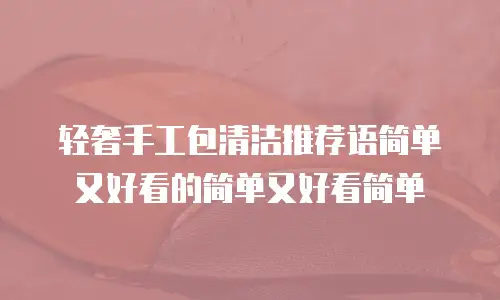 轻奢手工包清洁推荐语简单又好看的简单又好看简单