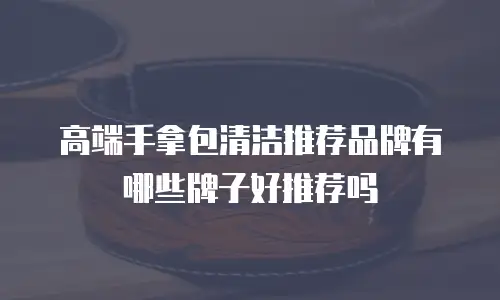 高端手拿包清洁推荐品牌有哪些牌子好推荐吗