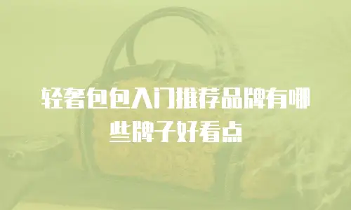轻奢包包入门推荐品牌有哪些牌子好看点
