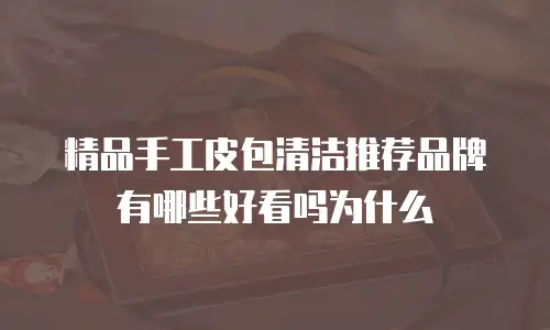 精品手工皮包清洁推荐品牌有哪些好看吗为什么