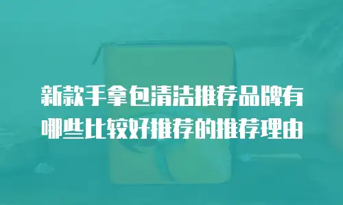 新款手拿包清洁推荐品牌有哪些比较好推荐的推荐理由