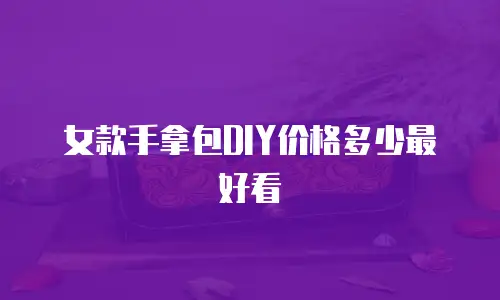 女款手拿包DIY价格多少最好看