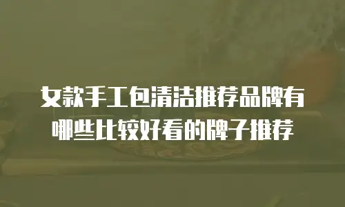 女款手工包清洁推荐品牌有哪些比较好看的牌子推荐