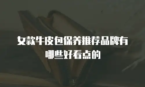 女款牛皮包保养推荐品牌有哪些好看点的