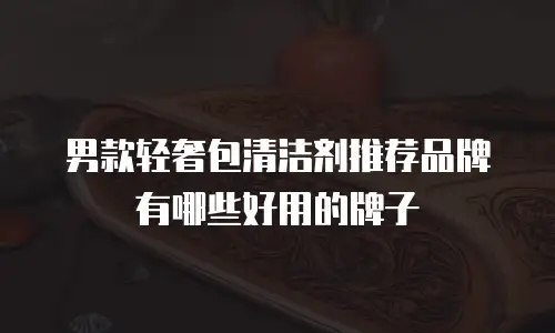 男款轻奢包清洁剂推荐品牌有哪些好用的牌子