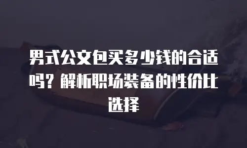 男式公文包买多少钱的合适吗？解析职场装备的性价比选择