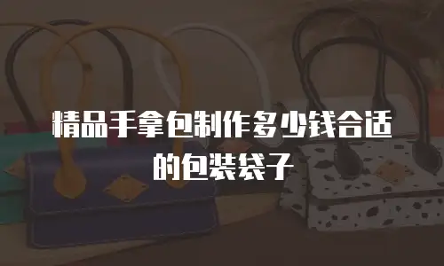 精品手拿包制作多少钱合适的包装袋子