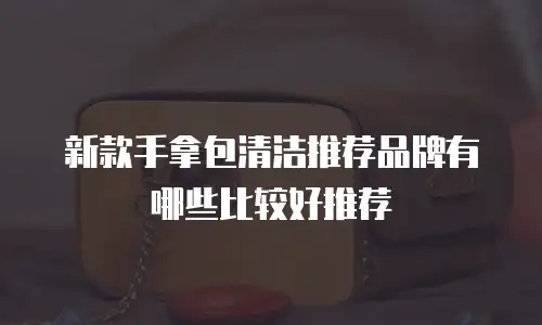 新款手拿包清洁推荐品牌有哪些比较好推荐