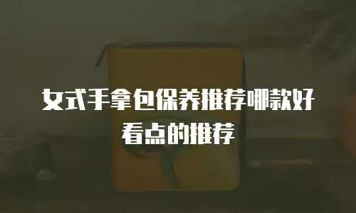 女式手拿包保养推荐哪款好看点的推荐