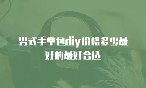 男式手拿包diy价格多少最好的最好合适
