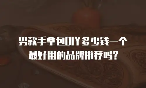 男款手拿包DIY多少钱一个最好用的品牌推荐吗？