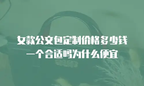 女款公文包定制价格多少钱一个合适吗为什么便宜