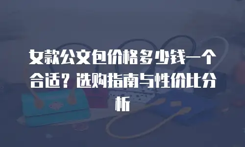 女款公文包价格多少钱一个合适？选购指南与性价比分析