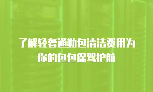  了解轻奢通勤包清洁费用为你的包包保驾护航