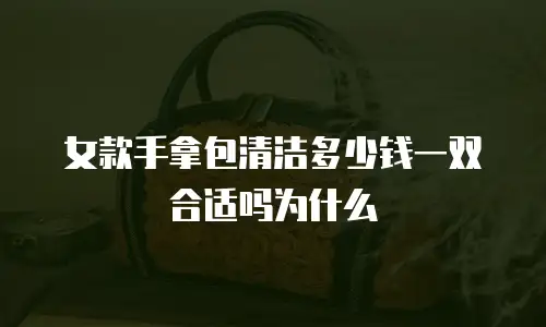 女款手拿包清洁多少钱一双合适吗为什么
