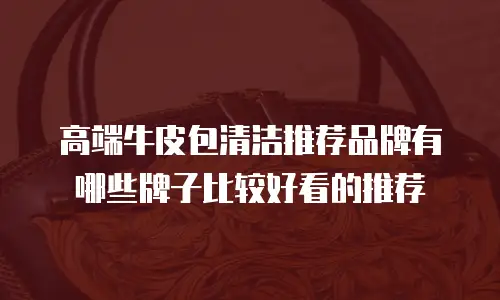 高端牛皮包清洁推荐品牌有哪些牌子比较好看的推荐