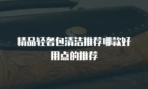 精品轻奢包清洁推荐哪款好用点的推荐