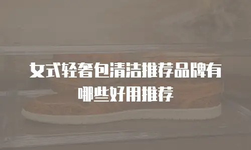 女式轻奢包清洁推荐品牌有哪些好用推荐