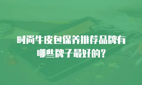 时尚牛皮包保养推荐品牌有哪些牌子最好的？