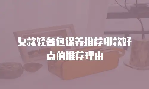 女款轻奢包保养推荐哪款好点的推荐理由