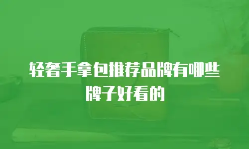 轻奢手拿包推荐品牌有哪些牌子好看的