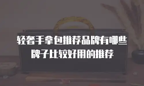 轻奢手拿包推荐品牌有哪些牌子比较好用的推荐