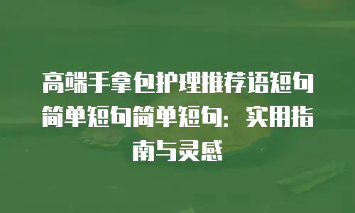 高端手拿包护理推荐语短句简单短句简单短句：实用指南与灵感