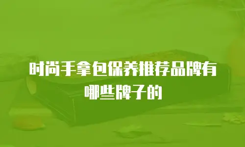 时尚手拿包保养推荐品牌有哪些牌子的