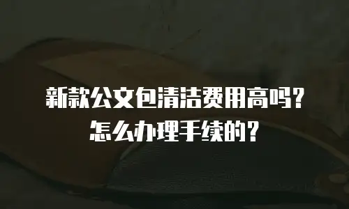 新款公文包清洁费用高吗？怎么办理手续的？