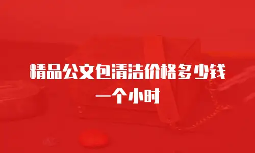 精品公文包清洁价格多少钱一个小时