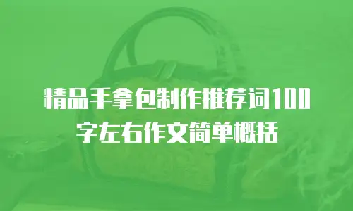 精品手拿包制作推荐词100字左右作文简单概括