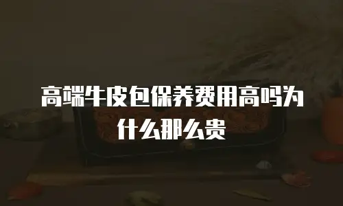 高端牛皮包保养费用高吗为什么那么贵