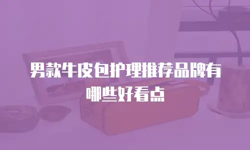男款牛皮包护理推荐品牌有哪些好看点