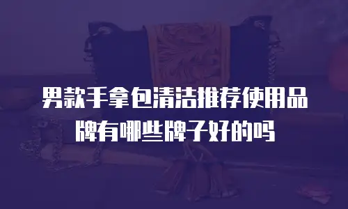 男款手拿包清洁推荐使用品牌有哪些牌子好的吗