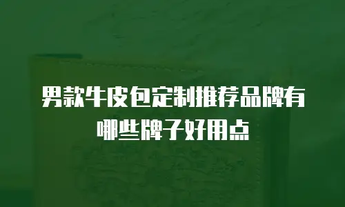 男款牛皮包定制推荐品牌有哪些牌子好用点